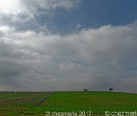 DSC_2268_DxO